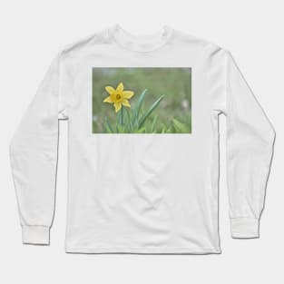 Lone Daffodil Long Sleeve T-Shirt